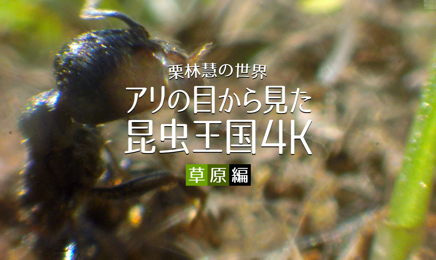 屏幕截图 2022-08-02 160331.png