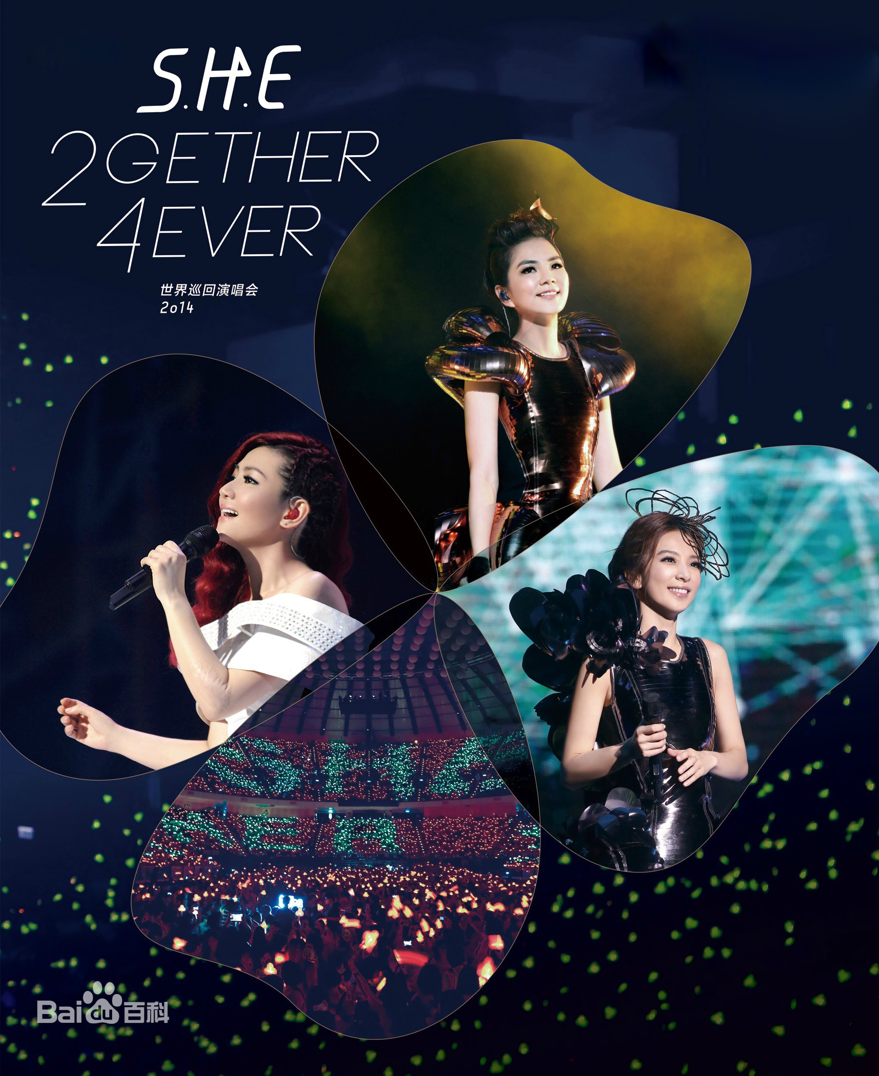 【HD演唱会】SHE.演唱会.2013.BD1080P.X264.AAC.内嵌中字[7.39GB]-yixi blog