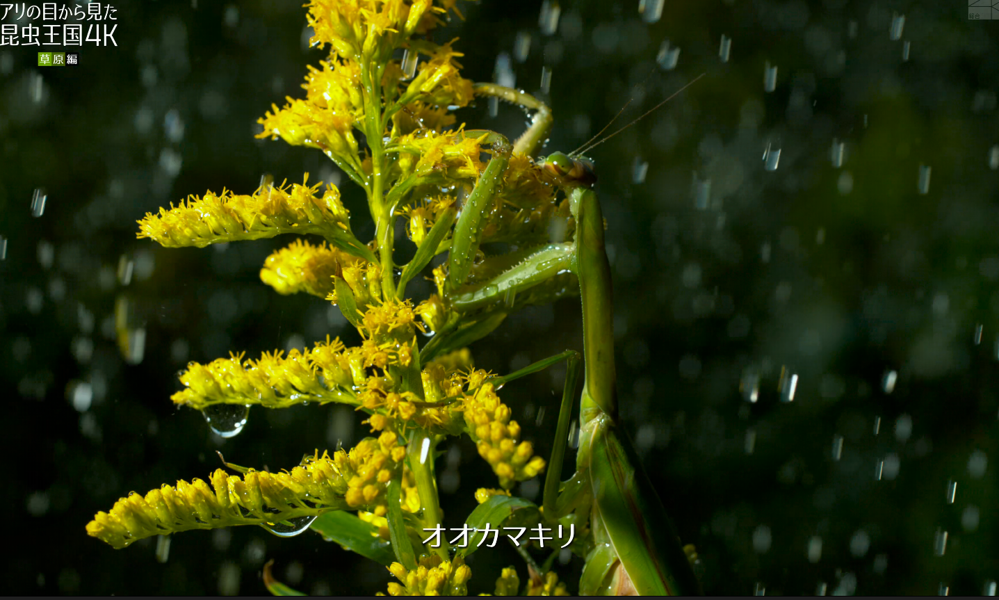 屏幕截图 2022-08-02 162531.png