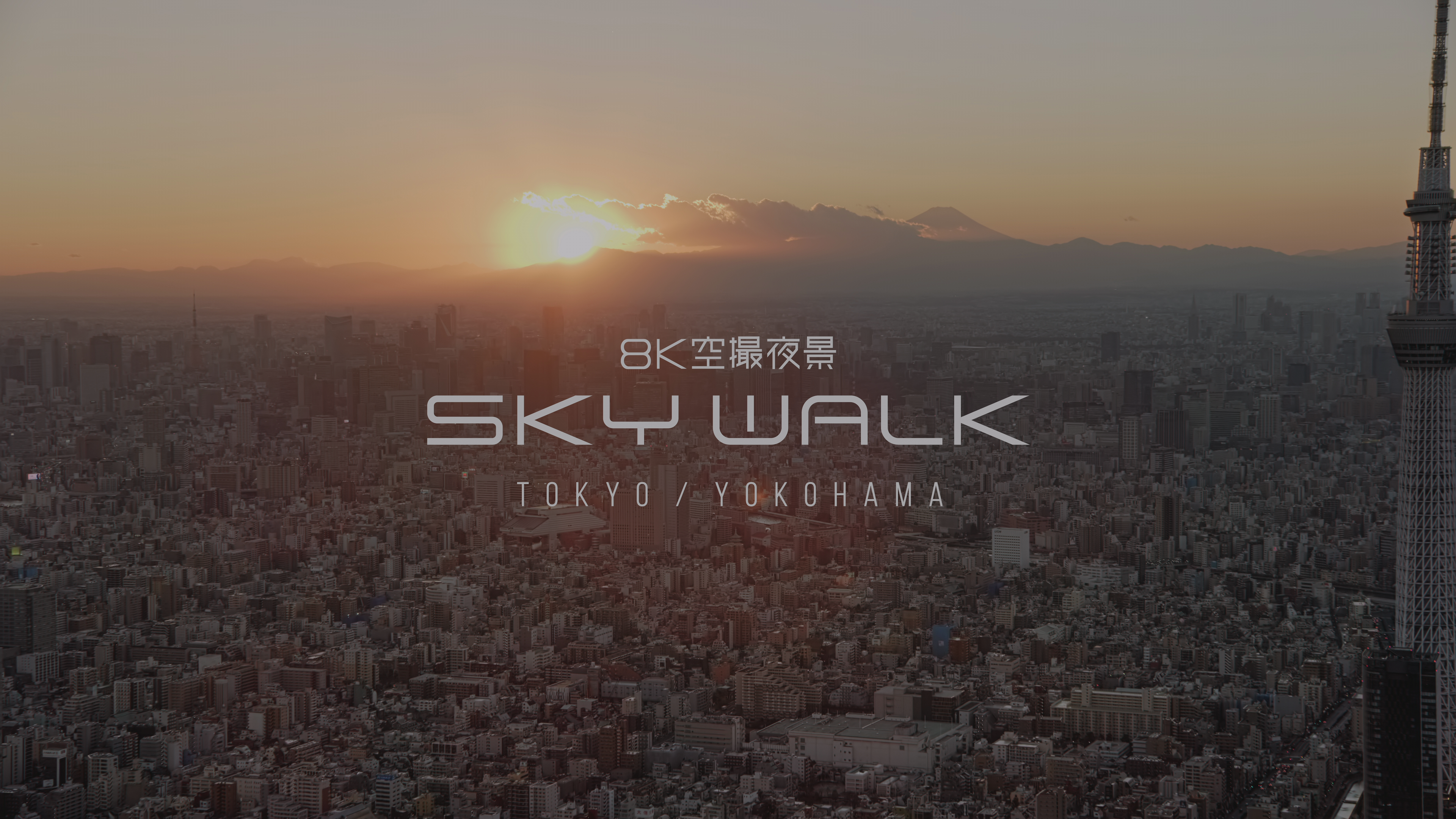 SKYWALK_20230312_152017.992.png SKYWALK_20230312_152017.992.png