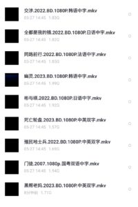【电影合集】最新电影整理,0602更新23部_1080p内嵌中字_适合天翼云盘或当贝TV直接在线观看(平均1.6-4G一部)-yixi blog