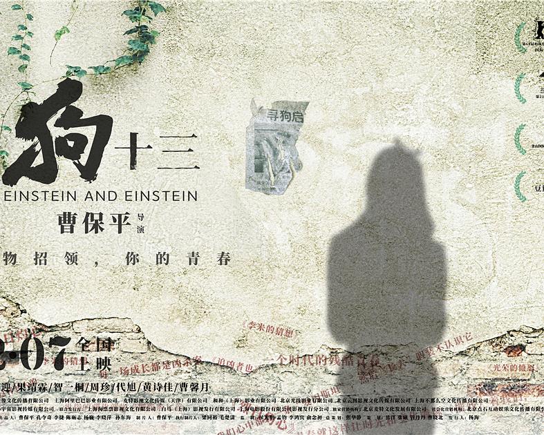 [国产电影]狗十三.2013(2018)_收集8版本.[共42.17GB].1080p-2160p.国语中字-yixi blog